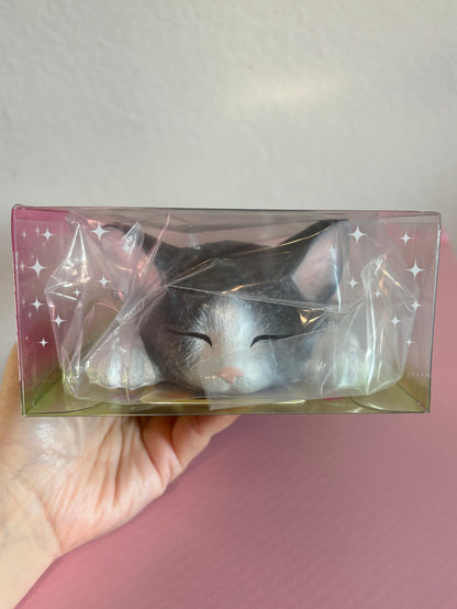 A hand holds a clear plastic box containing a gray and white cat squishy with closed eyes. The box has a pink-to-clear gradient with white star patterns on the side.