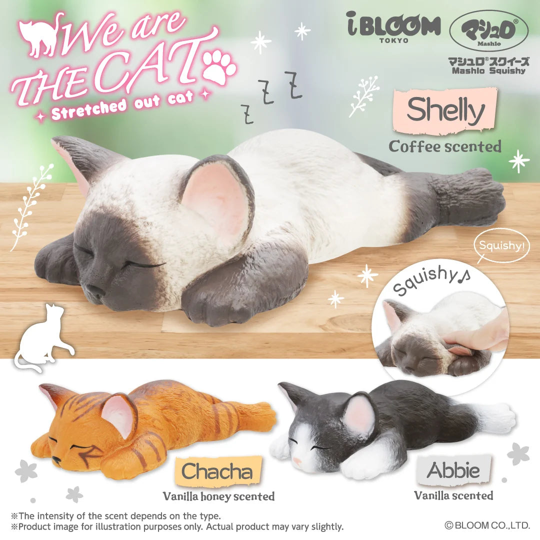 Promotional graphic for a stretched cat-shaped squishy toy. The main subject is a cream-and-gray cat plush lying on a wooden surface, with text reading 'We are THE CAT' and 'Stretched out cat. There are also 2 other options, an orange cat and a gray and white cat.