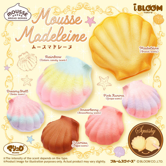 Mousse Madeleine cookie squishies showing various colors and scents on a decorative background. Options include Madeleine (Bread scented) Tiramisu (coffee scented) Strawberry (strawberry scented) Pink aurora (grape scented) and Dreamy shell (soda scented) 