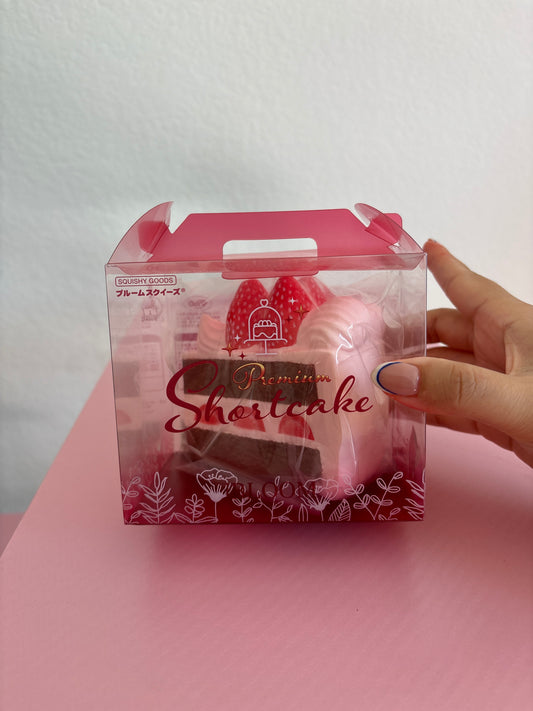 A hand holding a clear plastic box containing a pink and brown strawberry chocolate cake squishy by the brand IBLOOM, set against a white and pink background.