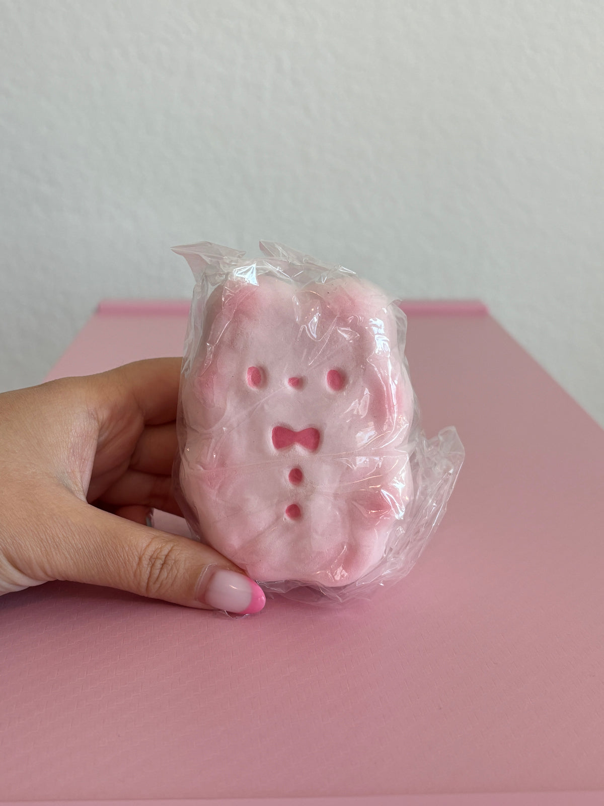 Misa Rabbit Biscuit Squishy